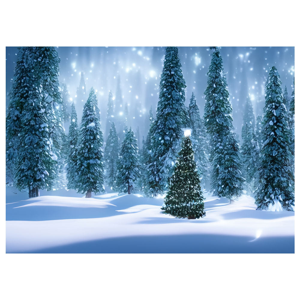 Christmas Tree Wilderness - Shimmering Forest - Canvas Print