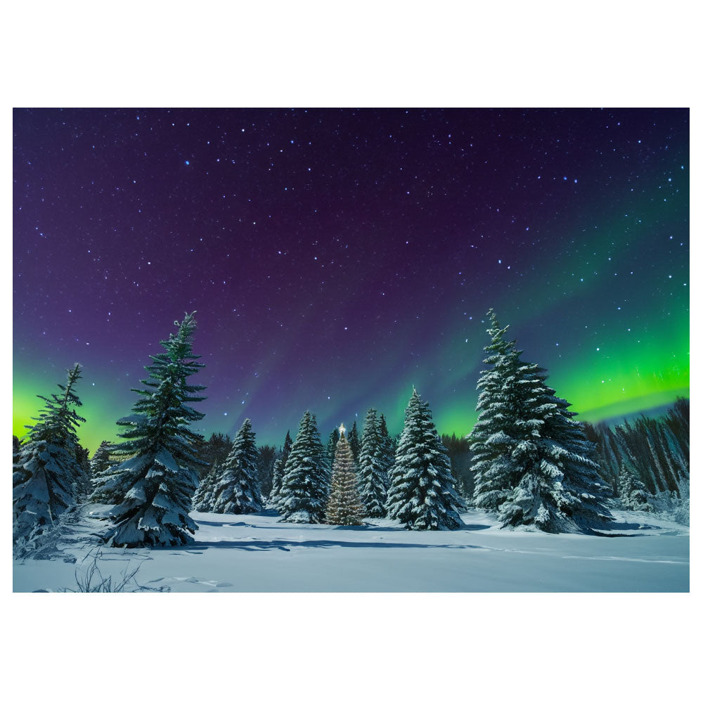 Christmas Tree Wilderness - Northern Lights - Canvas Print